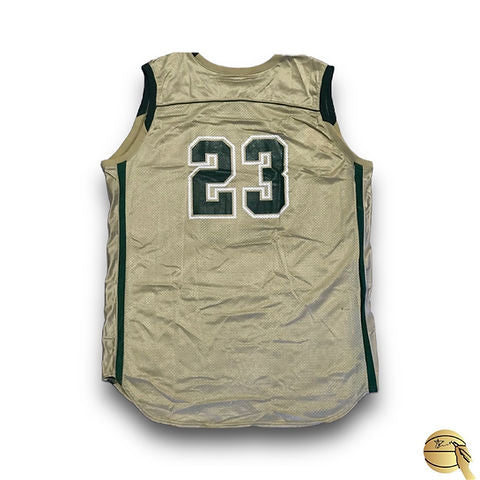 Jersey USADO por LeBron James - Signed Collectibles