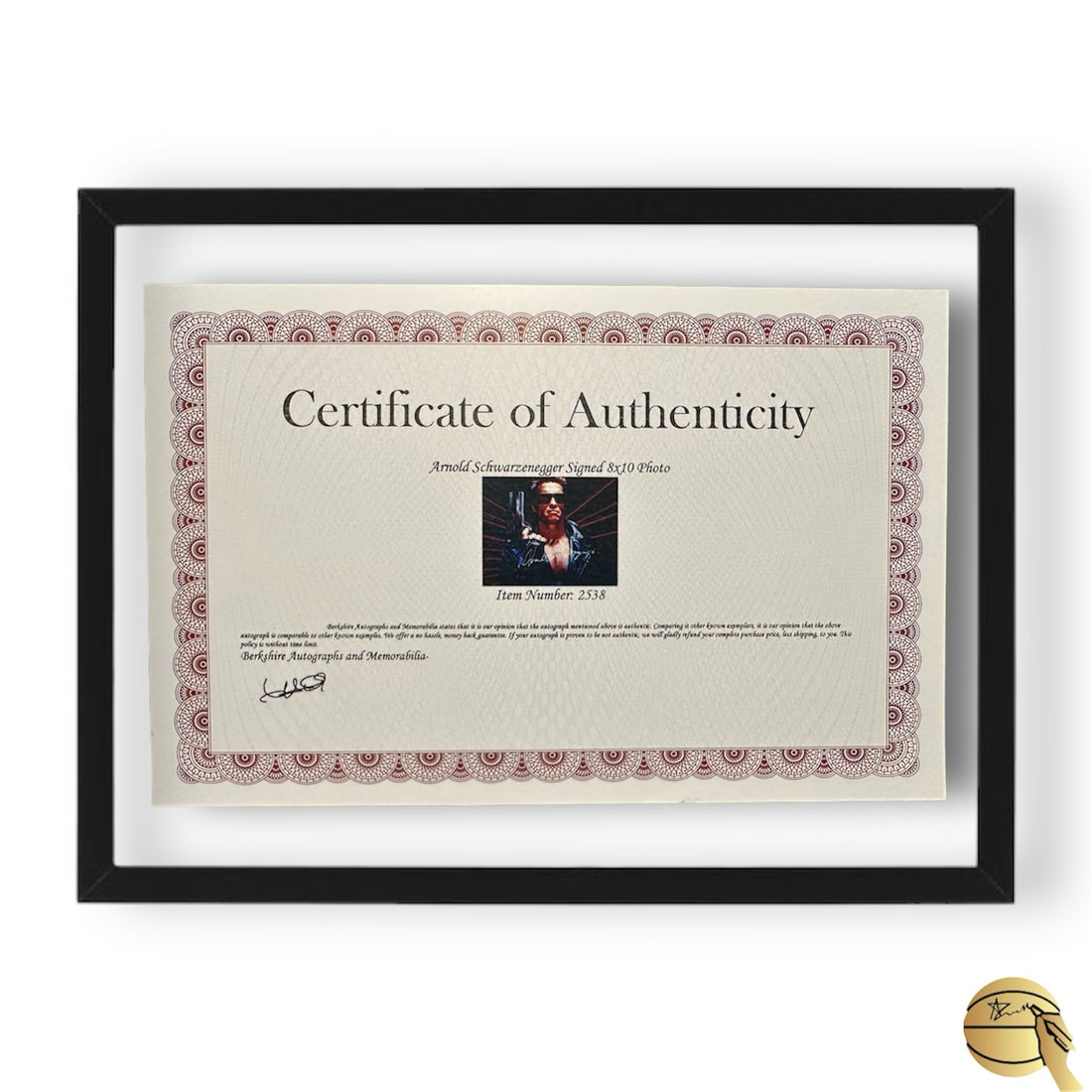 Cuadro autografiado por Arnold Schwarzenegger - Signed Collectibles