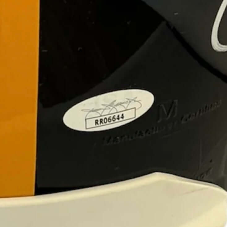 Casco autografiado por Jerome Bettis, Wille Parker y Hines Ward